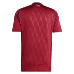 Shop belgium national team adidas 2024 home replica jersey – burgundy – Argentina National Team Jerseys & T-Shirts for True Fans