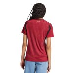 Shop belgium national team adidas women8217s 2024 home replica jersey – burgundy – Argentina National Team Jerseys & T-Shirts for True Fans