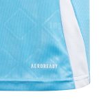Shop belgium national team adidas youth 2024 away replica jersey – blue – Argentina National Team Jerseys & T-Shirts for True Fans