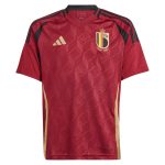 Shop belgium national team adidas youth 2024 home replica jersey – burgundy – Argentina National Team Jerseys & T-Shirts for True Fans