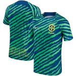 Shop brazil national team nike 202223 pre-match top – bluegreen – Argentina National Team Jerseys & T-Shirts for True Fans
