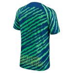 Shop brazil national team nike 202223 pre-match top – bluegreen – Argentina National Team Jerseys & T-Shirts for True Fans