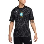 Shop brazil national team nike 2024 goalkeeper replica stadium jersey – anthracite – Argentina National Team Jerseys & T-Shirts for True Fans