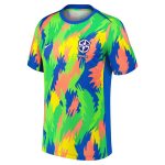 Shop brazil women8217s national team nike 2025 academy pro pre-match performance top – blue – Argentina National Team Jerseys & T-Shirts for True Fans