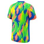 Shop brazil women8217s national team nike 2025 academy pro pre-match performance top – blue – Argentina National Team Jerseys & T-Shirts for True Fans