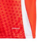 Shop chile national team adidas youth 2024 home replica jersey – red – Argentina National Team Jerseys & T-Shirts for True Fans