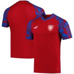 Shop czech republic national team puma pre-match v-neck top – red – Argentina National Team Jerseys & T-Shirts for True Fans