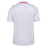Shop denmark national team 2024 away replica jersey – white – Argentina National Team Jerseys & T-Shirts for True Fans