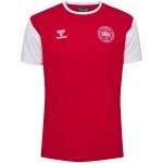 Shop denmark national team block t-shirt – red – Argentina National Team Jerseys & T-Shirts for True Fans