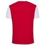Shop denmark national team block t-shirt – red – Argentina National Team Jerseys & T-Shirts for True Fans