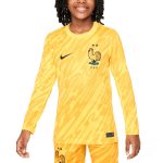 Shop france national team nike youth 2024 goalkeeper replica stadium long sleeve jersey – yellow – Argentina National Team Jerseys & T-Shirts for True Fans