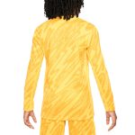 Shop france national team nike youth 2024 goalkeeper replica stadium long sleeve jersey – yellow – Argentina National Team Jerseys & T-Shirts for True Fans