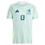 Shop guillermo ochoa mexico national team adidas 2024 away replica player jersey – green – Argentina National Team Jerseys & T-Shirts for True Fans