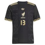 Shop guillermo ochoa mexico national team adidas youth 2025 third authentic player jersey – black – Argentina National Team Jerseys & T-Shirts for True Fans