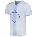 Shop iceland national team puma 202223 away replica jersey – white – Argentina National Team Jerseys & T-Shirts for True Fans