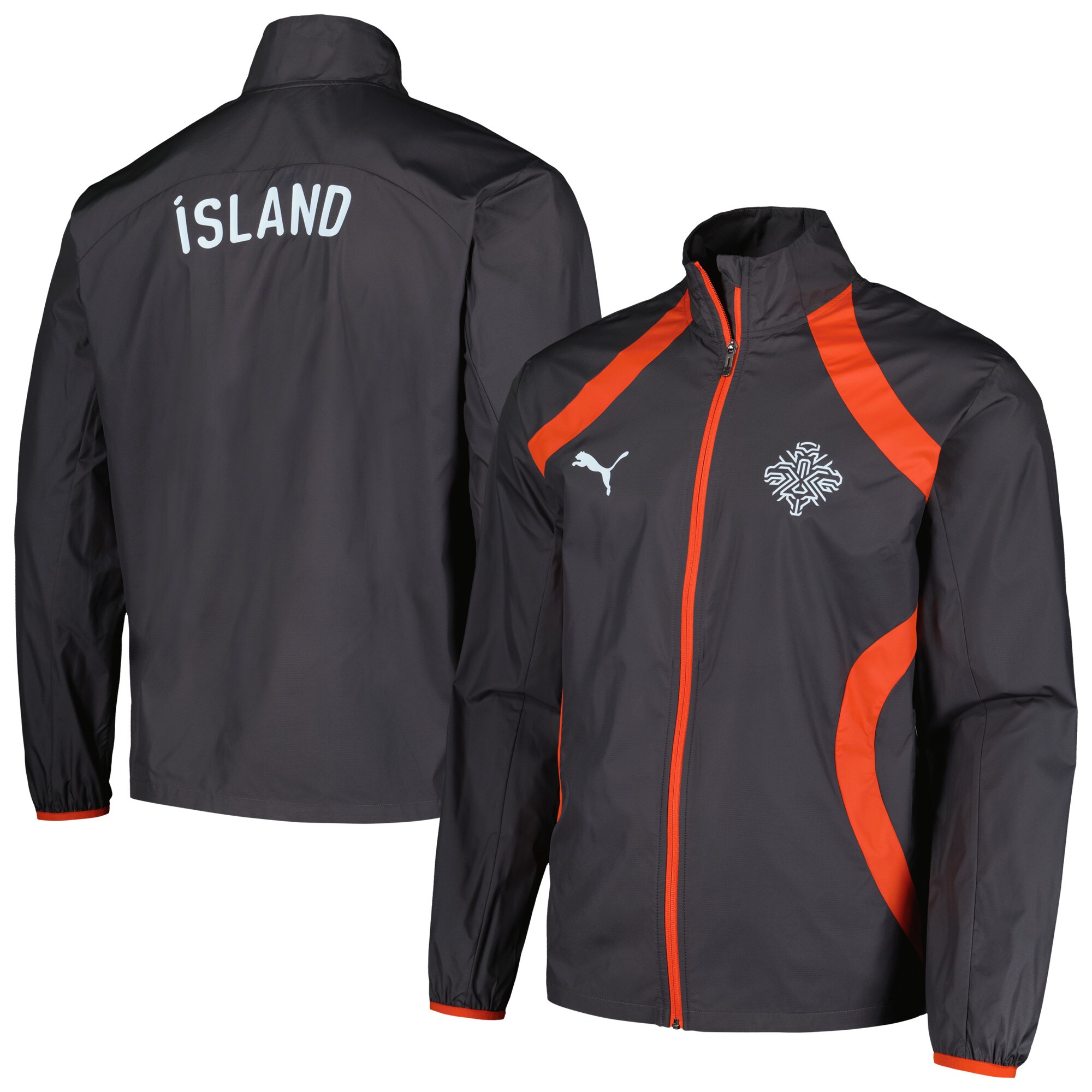 Shop iceland national team puma 2024 pre-match full-zip hoodie jacket – charcoal – Argentina National Team Jerseys & T-Shirts for True Fans