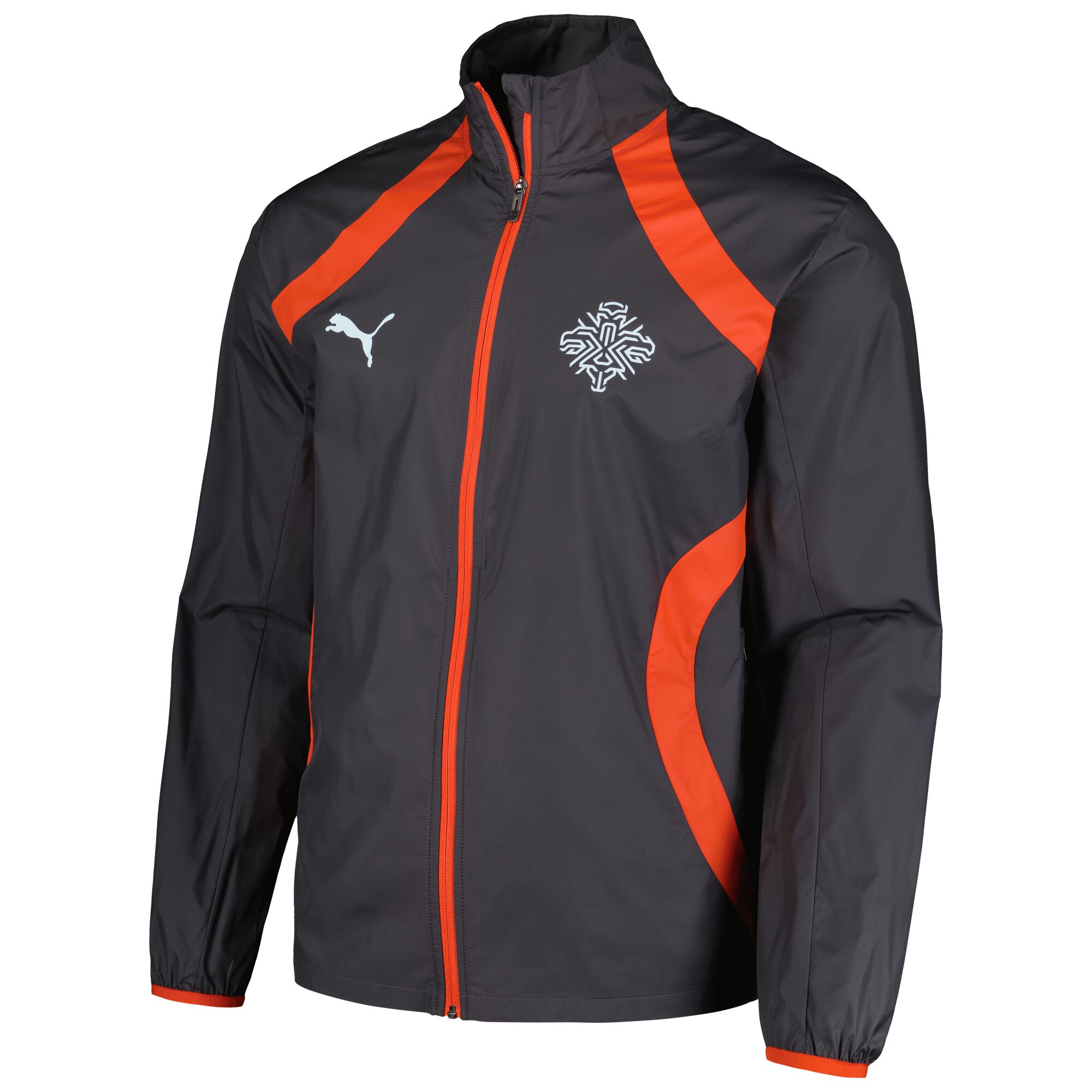Shop iceland national team puma 2024 pre-match full-zip hoodie jacket – charcoal – Argentina National Team Jerseys & T-Shirts for True Fans