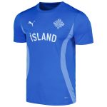 Shop iceland national team puma 2024 pre-match jersey – blue – Argentina National Team Jerseys & T-Shirts for True Fans