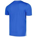 Shop iceland national team puma 2024 pre-match jersey – blue – Argentina National Team Jerseys & T-Shirts for True Fans