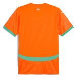 Shop ivory coast national team puma 2025 home replica jersey – orange – Argentina National Team Jerseys & T-Shirts for True Fans
