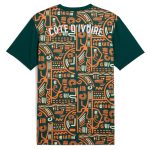 Shop ivory coast national team puma 2025 pre-match jersey – green – Argentina National Team Jerseys & T-Shirts for True Fans