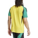 Shop jamaica national team adidas 2024 home replica jersey – yellow – Argentina National Team Jerseys & T-Shirts for True Fans