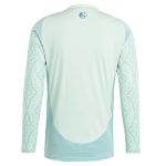 Shop mexico national team adidas 2024 away replica long sleeve jersey – green – Argentina National Team Jerseys & T-Shirts for True Fans