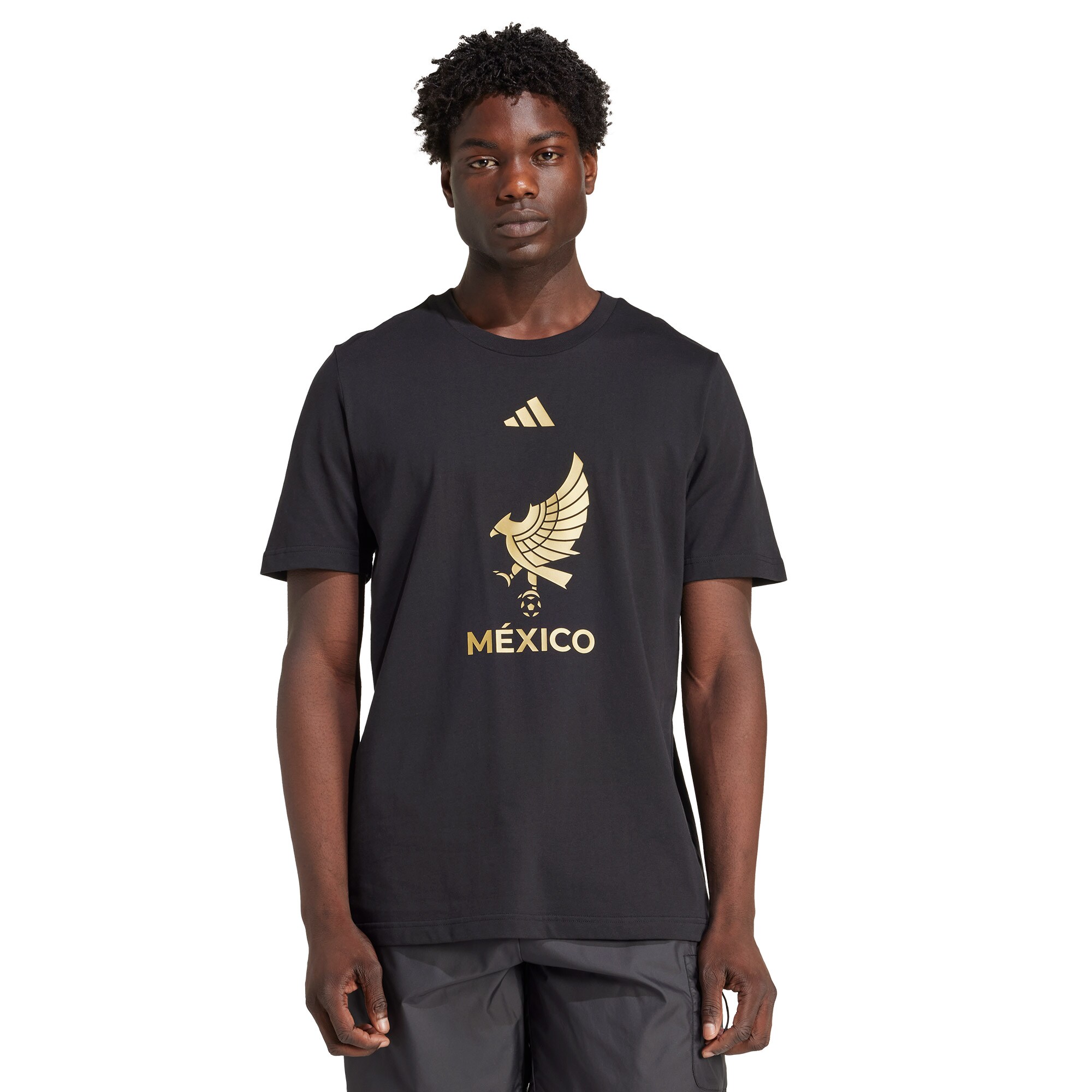 Shop mexico national team adidas 2025 third jersey dna graphic t-shirt – black – Argentina National Team Jerseys & T-Shirts for True Fans