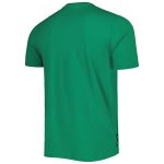 Shop mexico national team adidas dna graphic t-shirt – green – Argentina National Team Jerseys & T-Shirts for True Fans