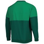 Shop mexico national team adidas dna pullover sweatshirt – green – Argentina National Team Jerseys & T-Shirts for True Fans