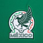 Shop mexico national team adidas dna pullover sweatshirt – green – Argentina National Team Jerseys & T-Shirts for True Fans