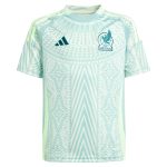 Shop mexico national team adidas youth 2024 away replica jersey – green – Argentina National Team Jerseys & T-Shirts for True Fans