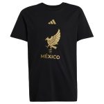 Shop mexico national team adidas youth 2025 third jersey dna graphic t-shirt – black – Argentina National Team Jerseys & T-Shirts for True Fans