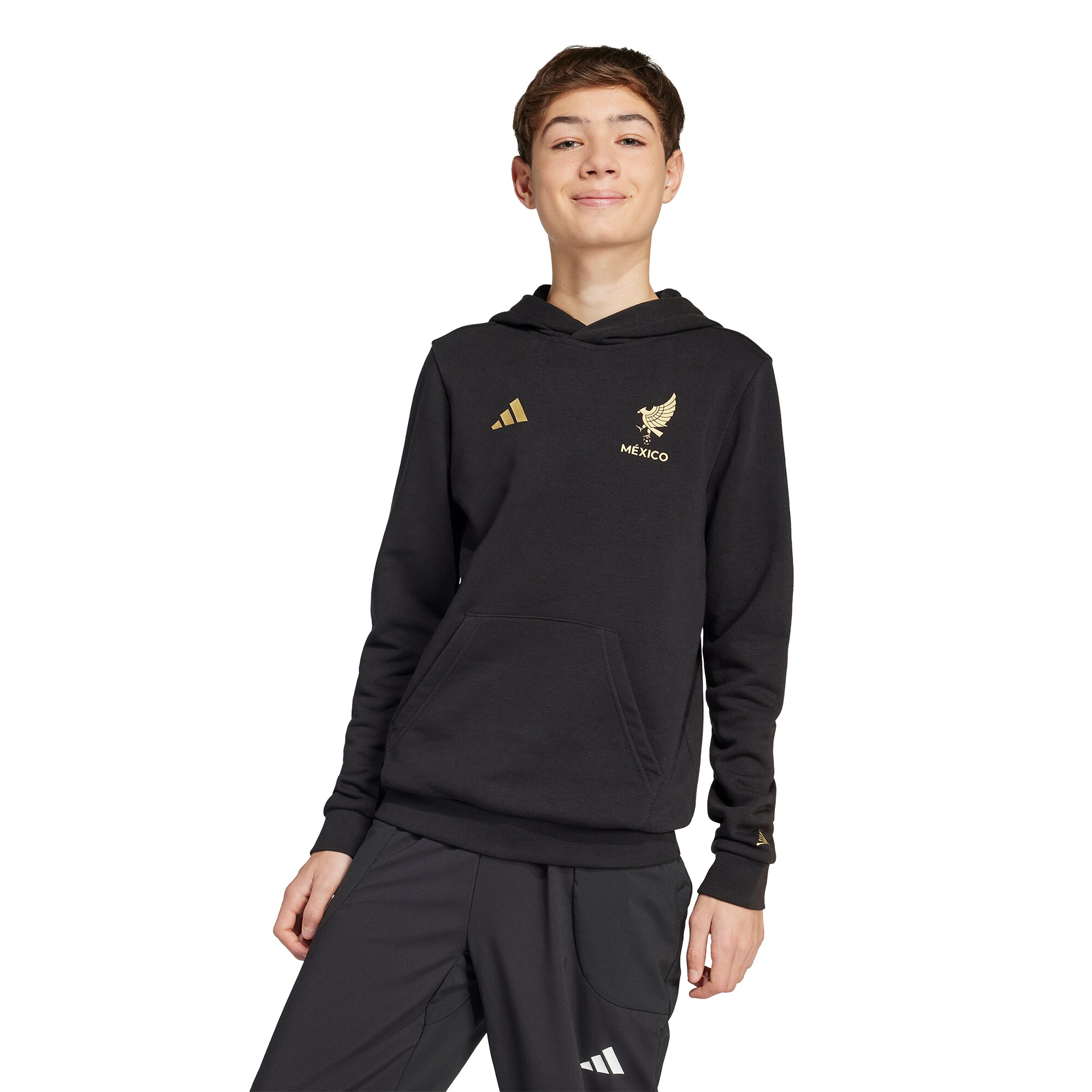 Shop mexico national team adidas youth 2025 third jersey dna pullover hoodie – black – Argentina National Team Jerseys & T-Shirts for True Fans