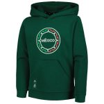 Shop mexico national team adidas youth pullover hoodie – green – Argentina National Team Jerseys & T-Shirts for True Fans