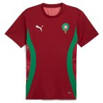 Shop morocco national team puma 2025 pre-match jersey – red – Argentina National Team Jerseys & T-Shirts for True Fans