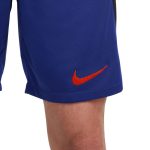 Shop netherlands national team nike away performance stadium shorts – royal – Argentina National Team Jerseys & T-Shirts for True Fans