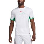 Shop nigeria national team nike 2024 home replica jersey – white – Argentina National Team Jerseys & T-Shirts for True Fans