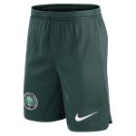 Shop nigeria national team nike home performance stadium shorts – green – Argentina National Team Jerseys & T-Shirts for True Fans
