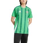 Shop northern ireland national team adidas 2024 home replica jersey – green – Argentina National Team Jerseys & T-Shirts for True Fans