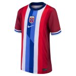 Shop norway national team nike youth 2024 home replica blank jersey – red – Argentina National Team Jerseys & T-Shirts for True Fans