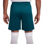 Shop portugal national team nike 2024 strike performance shorts – teal – Argentina National Team Jerseys & T-Shirts for True Fans
