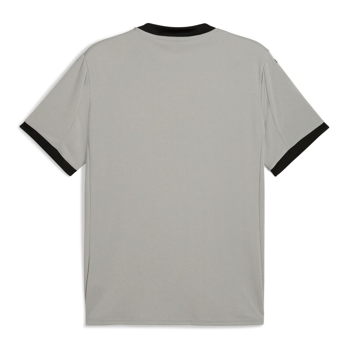 Shop portugal national team puma 2025 goalkeeper jersey – gray – Argentina National Team Jerseys & T-Shirts for True Fans