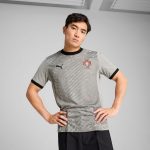 Shop portugal national team puma 2025 goalkeeper jersey – gray – Argentina National Team Jerseys & T-Shirts for True Fans