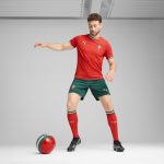 Shop portugal national team puma 2025 home replica shorts – green – Argentina National Team Jerseys & T-Shirts for True Fans