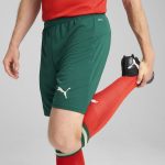 Shop portugal national team puma 2025 home replica shorts – green – Argentina National Team Jerseys & T-Shirts for True Fans