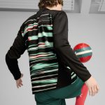 Shop portugal national team puma 2025 pre-match quarter-zip top – black – Argentina National Team Jerseys & T-Shirts for True Fans