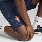 Shop portugal national team puma casuals shorts – navy – Argentina National Team Jerseys & T-Shirts for True Fans