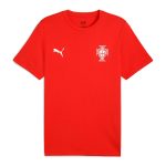Shop portugal national team puma ftblless t-shirt – red – Argentina National Team Jerseys & T-Shirts for True Fans