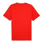 Shop portugal national team puma ftblless t-shirt – red – Argentina National Team Jerseys & T-Shirts for True Fans